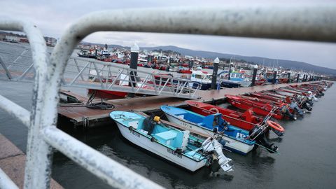 Flota amarrada en el puerto de Tragove, Cambados