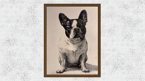 Buldog Franc�s por Roberto Yepes.Buldog Franc�s por Roberto Yepes