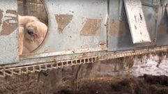 La quiebra de la mayor granja de Espa�a (en la imagen) dedicada a la cr�a roedores para la venta como mascota ha puesto en riesgo de muerte a m�s de 2.000 conejos, h�mster y jerbos