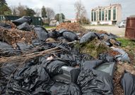La basura se encuentra a escasos metros del centro urbano. 