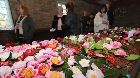 Imagen de una de las �ltimas ediciones de la exposici�n de camelias de Boiro