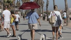 Imagen de archivo del paseo de la playa de la Patacona, en Valencia, donde se produjo el ataque racista.