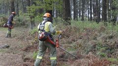 Limpieza de vegetaci�n para prevenir incendios