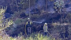 Imagen reciente de la extinci�n de un incendio forestal en Laxe.