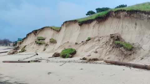 Dunas da�adas por el temporal en la playa de A Calzoa