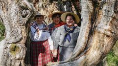 Souto en Vilanova: Blandina de Cotars, Fiuca de Trives e Digna de Vilanova, cantareiras da seitura