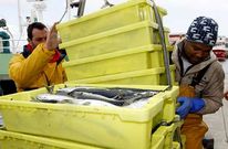 Cuando los mari�anos dejaron el mar, los inmigrantes llegaron para completar tripulaciones.