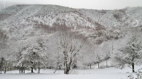 Paisaje nevado cerca de Vilarxon, en O Incio