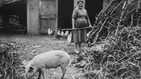 Mujer con un cerdo en el rural de Ferrolterra, a mediados del siglo XX