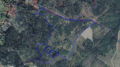 Delimitado en color azul, el terreno forestal que el Concello de Rianxo sacó a licitación por un período mínimo de 25 años. La parcela se sitúa en las proximidades de O Barral, cuenta con una superficie total de 8,4 hectáreas y reportará a las arcas municipales unos 165.000 euros.