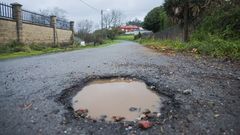 Bache en la comarca de Carballo