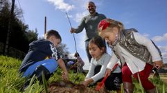 Jornada de plantaciones en la Costa da Morte por el D�a dos Bosques: �las im�genes!