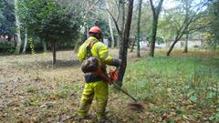 El Concello de Ferrol quiere mejorar la integraci�n de �reas como la zona verde de O Mont�n (en la imagen).