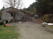 Los animales aparecieron muertos en esta finca de Bascuas. 