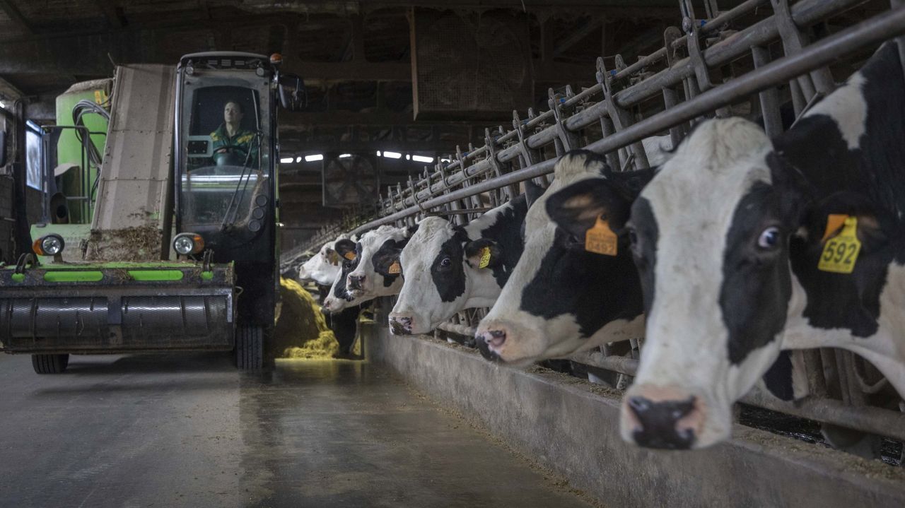 Fenil asegura que Galicia debe dejar de apostar por la leche líquida y producir alimentos de mayor valor añadido