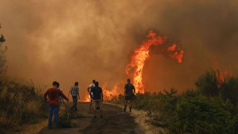 Incendio forestal en Meln, entre las aldeas de Quins y Vilaverde