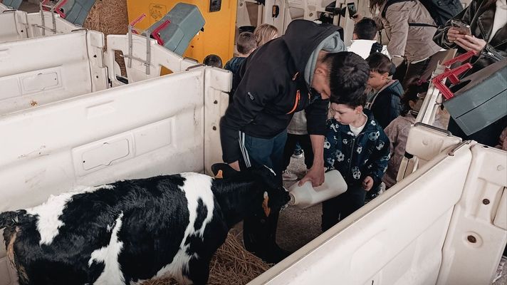 Visita escolar a la granja SAT Busto-Corz�n