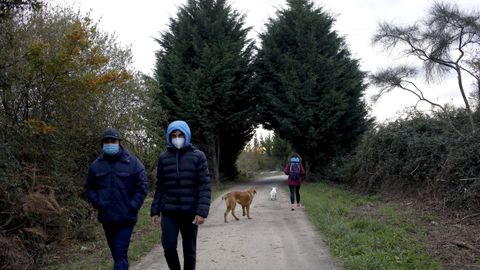 As� es el Cami�o Primitivo a su paso por el municipio de Lugo