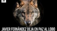WWF pide al presidente de Asturias que no permita la caza indiscriminada del lobo