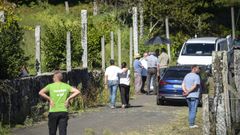 Lugar de Cardín, en la parroquia de Saiar, en Caldas, donde este viernes se produjo el accidente mortal del motocultor