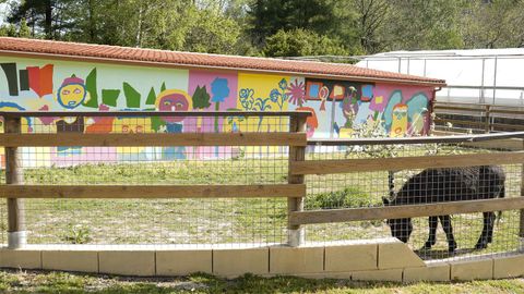 Espacio habilitado para animales y decorado en colaboraci�n con alumnos de Bellas Artes