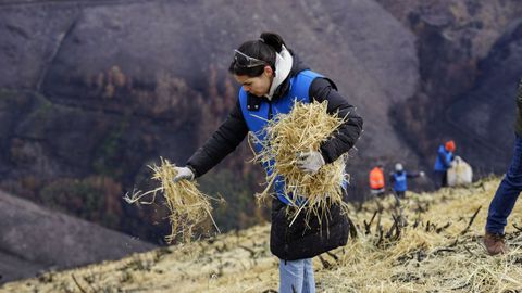 Voluntarios protegen los montes afectados por los incendios forestales en Vilamart�n de Valdeorras