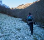 Un tramo de la ruta, en las cercan�as de Visu�a. 