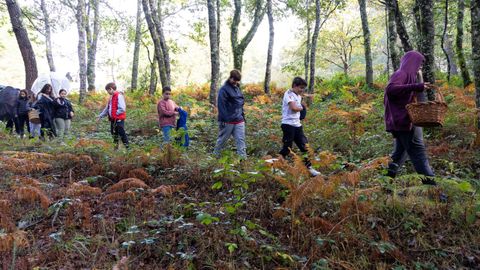 Actividad micolgica de los alumnos del CEIP Lagostelle, de Guitiriz, en Sete Muos