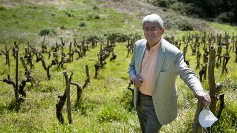 Luis Sande, en la viña do Conde, una de las fincas alquiladas en Betanzos