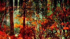 �Spirits in Season�, 2012