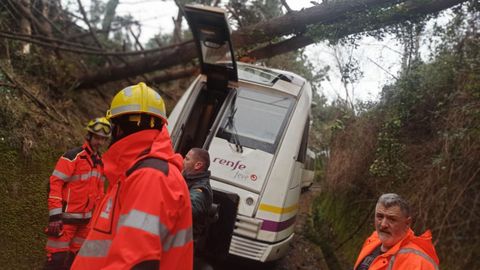 El 2 de enero, la cada de dos pinos dej a ocho pasajeros y al maquinista atrapados durante horas en el tren en O Vicedo.