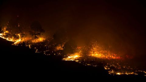 El incendio declarado en la isla de La Palma afecta a entre 1.500 y 2.000 hect�reas de superficie. Unos 200 efectivos y ocho medios a�reos de distintas administraciones trabajan en la extinci�n del fuego. 