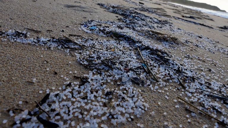 P�lets del buque Tocomao en la playa de Queiruga, en enero del 2024