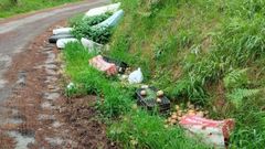 Los residuos se encuentran en la cuneta