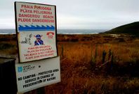 Imagen tomada ayer por la tarde en la playa de Mar de F�ra, con un cartel de advertencia del peligro.