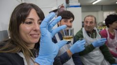 La comercializaci�n de hidromiel de la comarca depende ahora de una patente