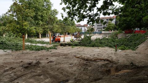 Tala de �rboles en el Xard�n do Pos�o.