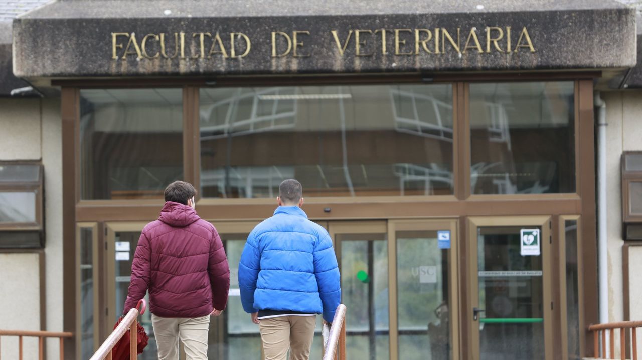 El Ministerio transferirá más de cuatro millones a Galicia para incorporar nuevos profesores a las universidades públicas
