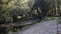 El r�o Trimaz, a su paso por Cabreiros, en donde se lleg� a pensar en instalar un punto de bombeo