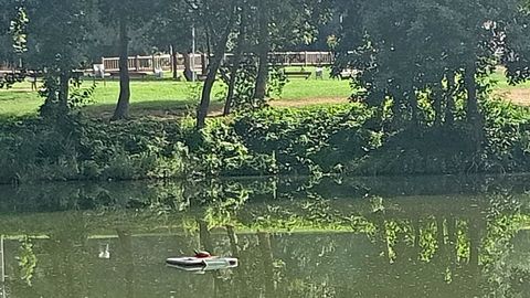 Ejemplar de tortuga de Florida encaramado a una de las trampas flotantes de la laguna