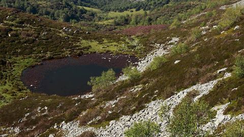 Lago de Teixedal