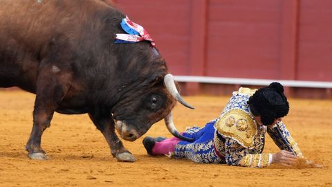 Morante de la Puebla fue corneado el 20 de abril en la Feria de Sevilla