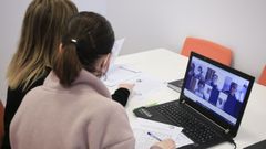 Talleres de Afalu v�a telem�tica