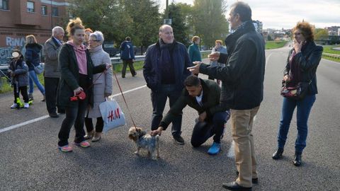 El concejal Iv�n �lvarez acaricia a un perro durante el amag�estu del Bulevar de Santullano.El concejal Iv�n �lvarez acaricia a un perro durante el amag�estu del Bulevar de Santullano 