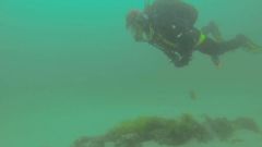 Buscan un nav�o del siglo XVI hundido en el puerto de A Coru�a