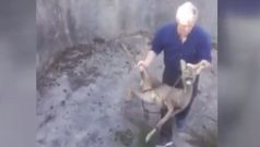 Cazadores de Mazaricos rescatan a un corzo