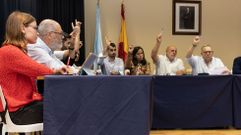 Un pleno en A Laracha
