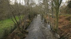 Imagen de archivo del r�o Lo�a a su paso por O Pereiro de Aguiar