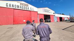Trabajadores de Ganomagoga, esta ma�ana, entrando en la nave de Ponteareas