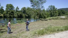 Tala de chopos en A Quinza, Ribadavia